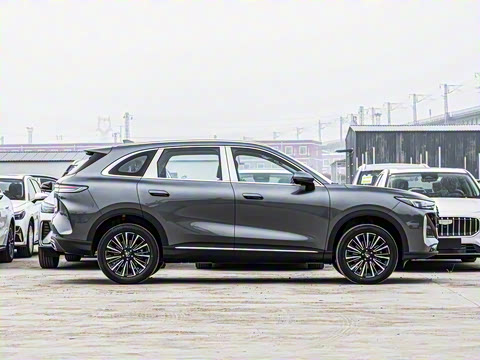 2026�� ����� ���� ����1.6T �Զ������