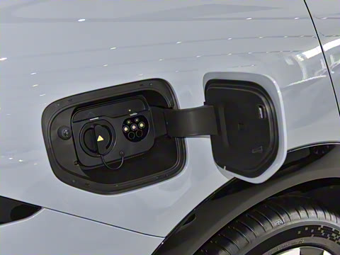 2025�� 602 ������ Max