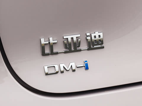 2026�� DM-i 220������