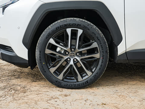 2026�� ˫�� 2.5L �����콢��