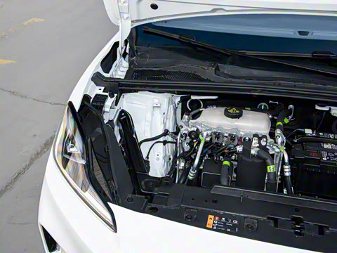 2026�� ���̬��о��