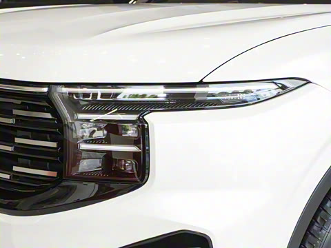 2026�� ���L 2.0T EcoBoost ��������������