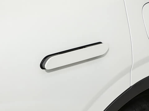 2026�� ���L 2.0T EcoBoost ��������������