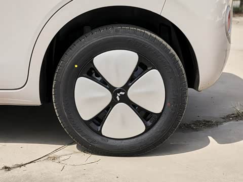 2026�� ����� 301km ���׿�