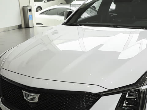 2025�� 28T �������ܰ�
