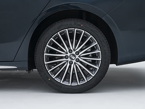 2026�� ������