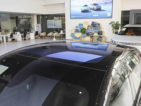 2025�� ���� 650MaxѲ����