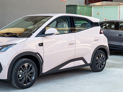 2026�� 305km ���ɰ�