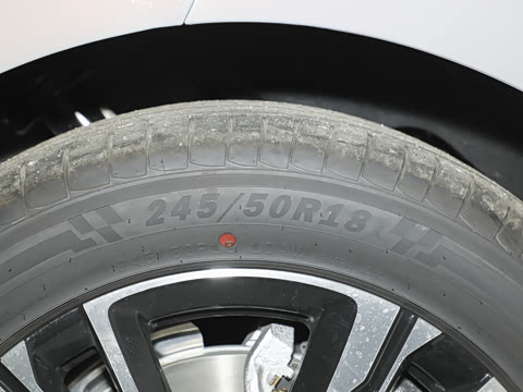 2025�� 600 ��ѡ��