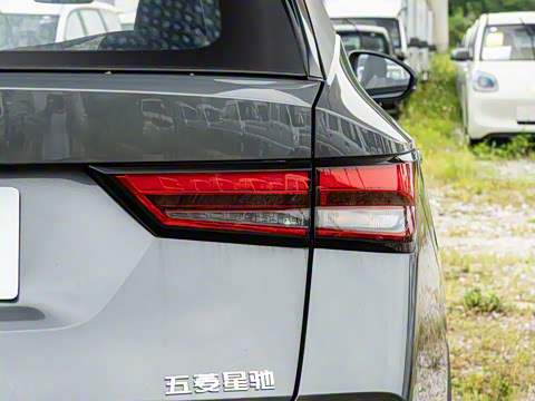 2026�� 1.5L �ֶ�������