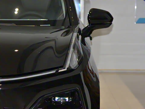 2025�� 2.0T �Զ������� 7��