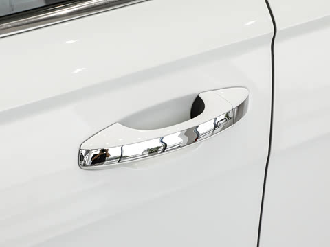 2026�� 300TSI DSG���ݰ�