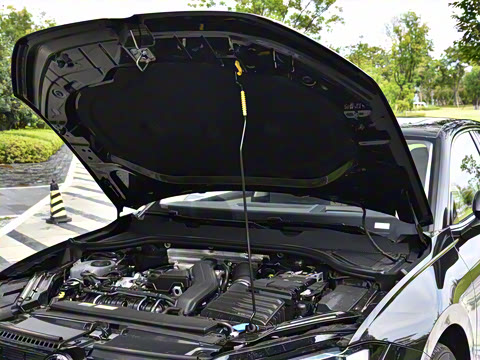 2026�� L 300TSI DSG ������