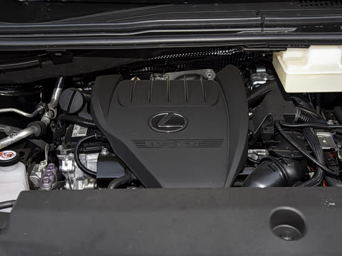 2025�� 500h ����������