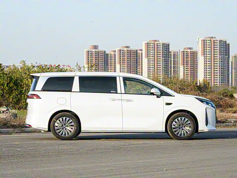 2026 DM-i 1.5T 218KM Խ