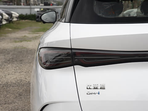 2026�� DM-i 210KM������