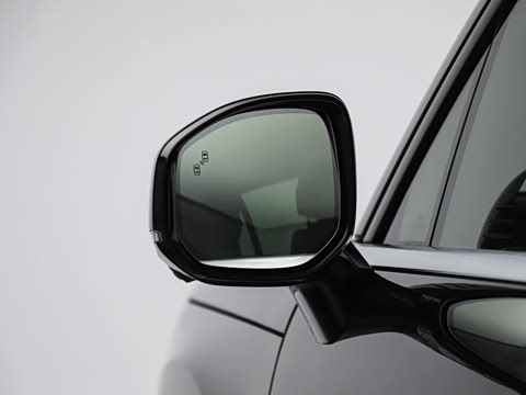 2025�� Max�� 55kWh