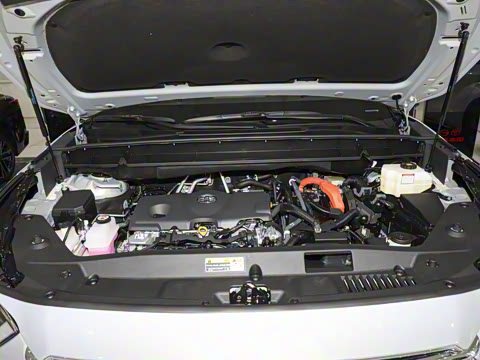 2026�� 2.5L���ܵ��˫���������� 7��