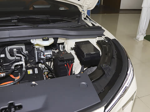 2026�� 565km ������