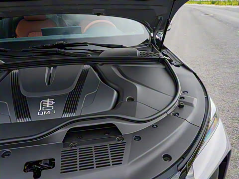 2025�� �Ǽݰ� DM-i 175KM ������