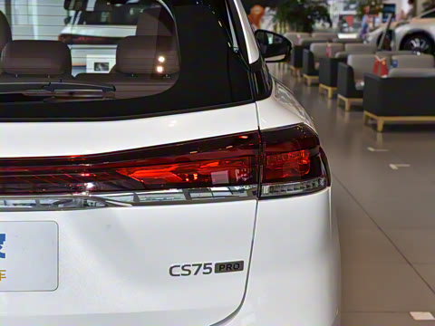 2026�� PRO 1.5T DCT ������ 7��