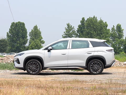 2026�� DM-i 205KM ������