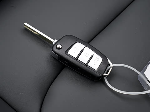 2027�� ���� 1.5L �ֶ�������