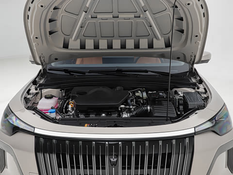 2026�� 1.5L �����