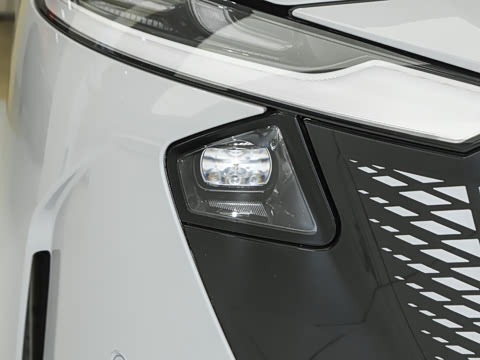 2025�� ����600�����˶���