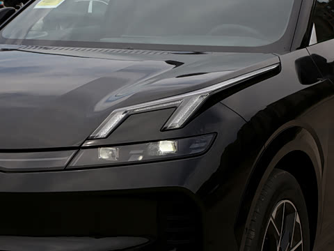 2026�� 230��������Max