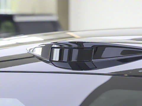 2026��   95������ Max��