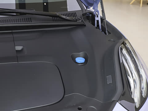 2026��   95������ Max��