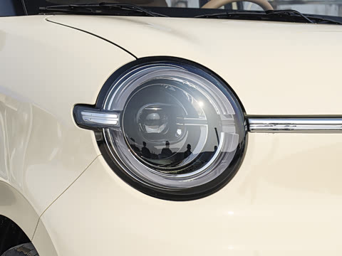 2026�� ����� 205km ���׿�