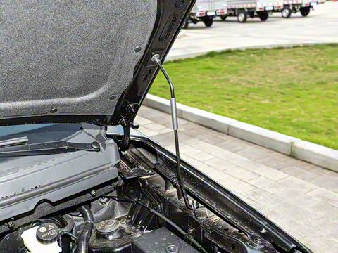 2025�� 1.5L ������