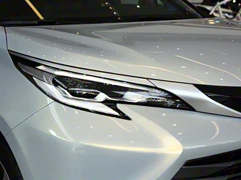 2026�� 2.5L ˫��������������