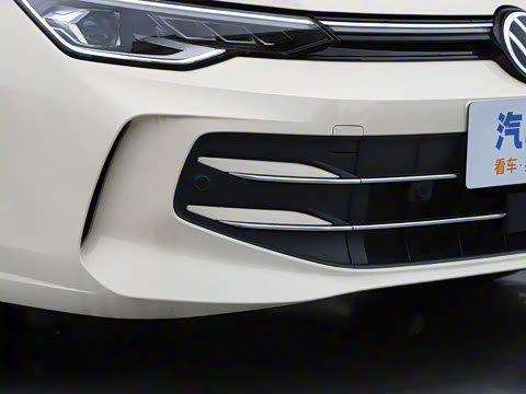 2025�� �Ŀ� 300TSI Pro