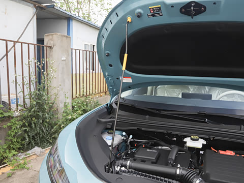 2026�� DM-i 220������
