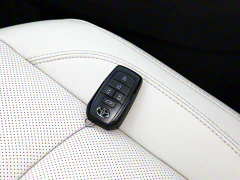 2026�� 2.5L ˫����������