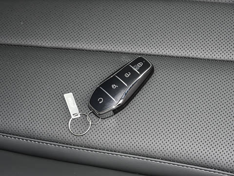 2026�� DM-i 220KM��Խ��