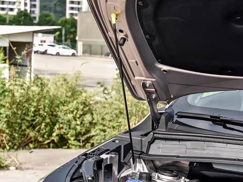 2026�� ���Ĵ� ������ 1.5T ������