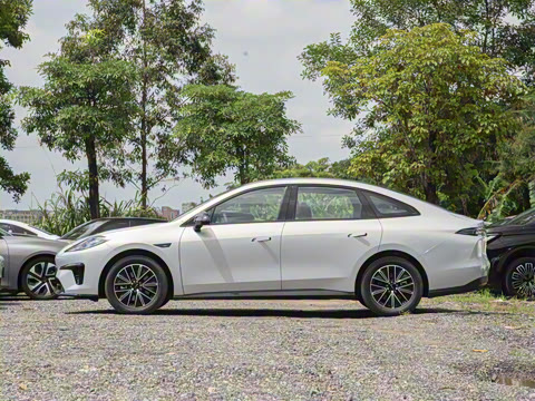 2026�� 520�Ǻ���