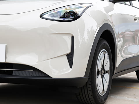2026�� 310km ������