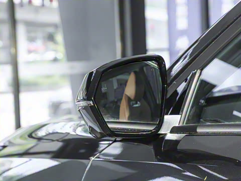 2025�� �ǻ������� 125km ������