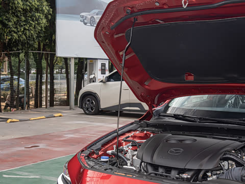 2025�� 2.0L �Զ����Ű�