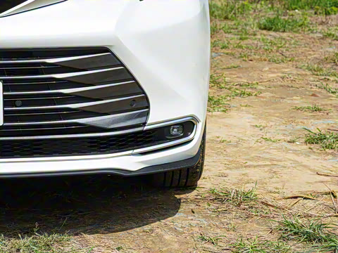 2026�� 2.5L ˫������������