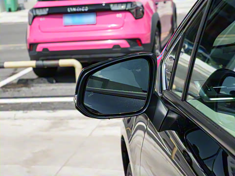 2026�� 2.5L ˫������������