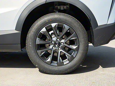 2026�� Ӱ�� 270T ��ȡ��