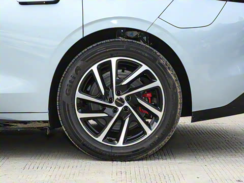 2025�� ���� Plus ��������