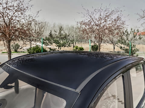 2026�� ����� 205km ���׿�