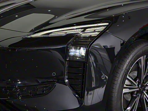 2025�� 600 ��ѡ��